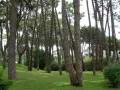 Carilo